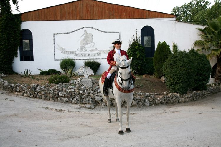 Hipismo