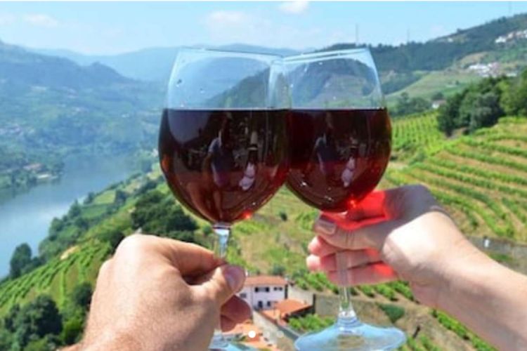 Guia do Vale do Rio Douro