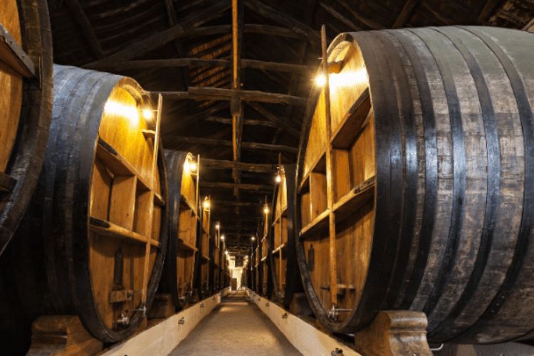 cave vinho porto
