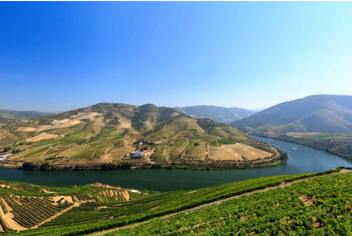 Guia do Vale do Rio Douro